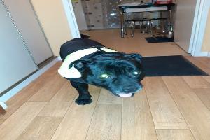 Marbach-Mevel Magali