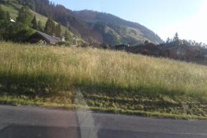 Clinique veterinaire d'arly