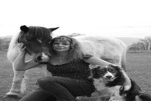 Clinique Veterinaire de l'Albanais