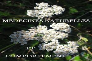 Le Berre Trancart