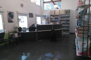 Clinique veterinaire des Cigognes