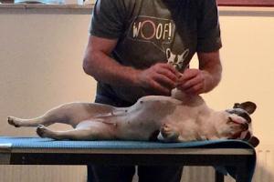 Docteur Christian GAUDRON