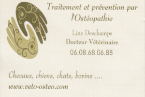 Dr Line Deschamps Vétérinaire pratiquant l'ostéopathie / Médecin