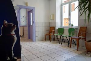 Clinique Vétérinaire du Docteur P.Robert