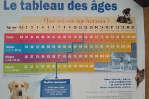 Clinique Vétérinaire du Parc