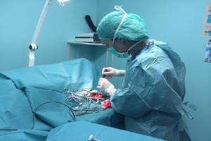 Clinique Vétérinaire Pelletier Rouyet
