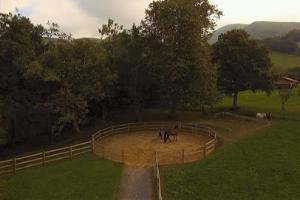Cabinet Vétérinaire Equin Zaldivet