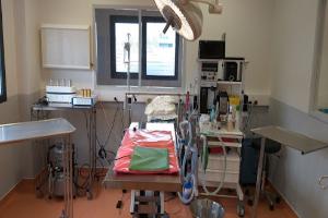 Clinique Vétérinaire Benjamin Franklin