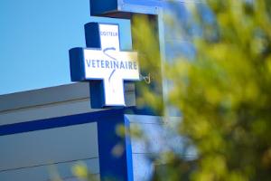 Clinique vétérinaire des Capitelles