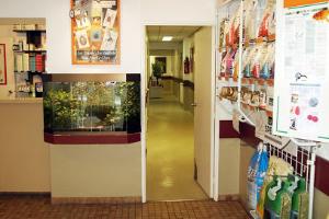 CLINIQUE VETERINAIRE - Docteur Olivier SASSOT