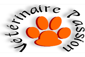 Clinique Vétérinaire - vétérinaire passion