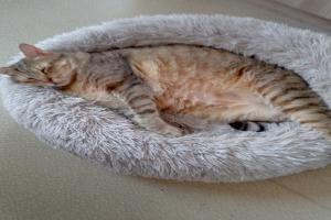 Clinique Vétérinaire Docteurs Duchateau et Lecomte