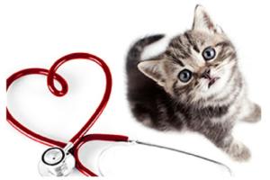 Clinique Vétérinaire CVA Chatillon - Drs Fabre et Denis