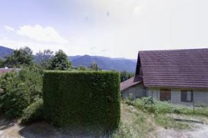 Gres.Hippo Doct Ghilardi et Marchi