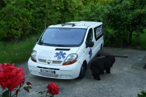 Clinique Vétérinaire