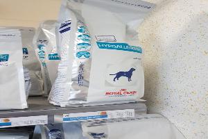 Clinique Vétérinaire Cap'Vet Moulins la Marche