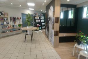 Clinique Vétérinaire de Pluguffan