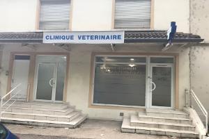 clinique veterinaire saint julien