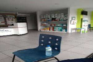 Clinique Vétérinaire de Bracieux