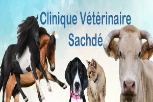 Cabinet Vétérinaire des Docteurs Sachdé