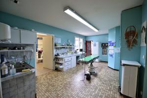 Clinique Vétérinaire VPLUS de Blaye