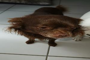 Cabinet Vétérinaire du Val d'Auray