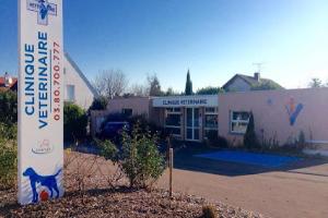 Clinique Vétérinaire Terrier Finelle Koël Destannes SELARL