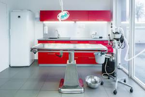 Clinique vétérinaire Altilivet de Polignac