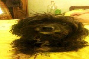 Catry Philippe