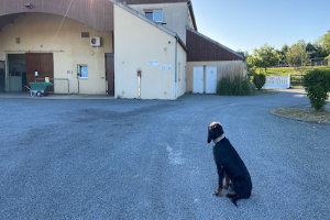 Clinique Vétérinaire du Grand Renaud